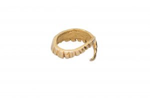 Anillo Columna