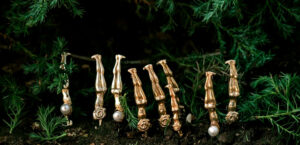 Oro 10k / Golden Plate